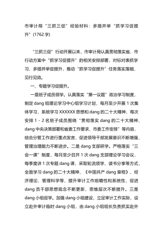 市审计局“三抓三促”经验材料