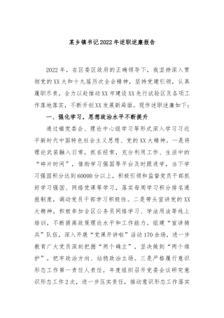 乡镇书记2022年述职述廉报告