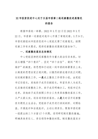 市投资促进中心五届市委第二轮巡察整改进展情况的报告