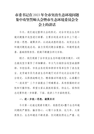 市委书记在2023年全市突出生态环境问题集中攻坚誓师大会暨市生态环境委员会全会上的讲话