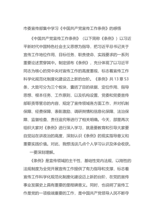 市委宣传部集中学习《中国共产党宣传工作条例》的感悟