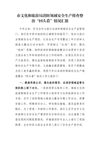 市文化和旅游局消防领域安全生产排查整治“回头看”情况汇报