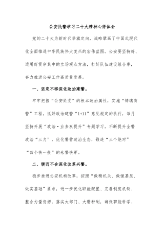 公安民警学习二十大精神心得体会