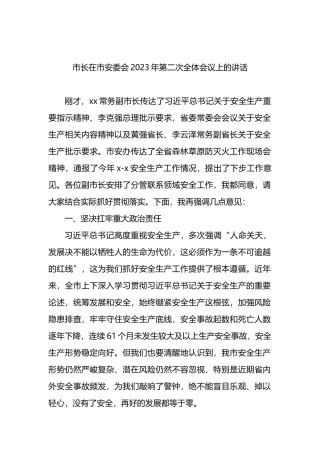 市长在市安委会2023年第二次全体会议上的讲话