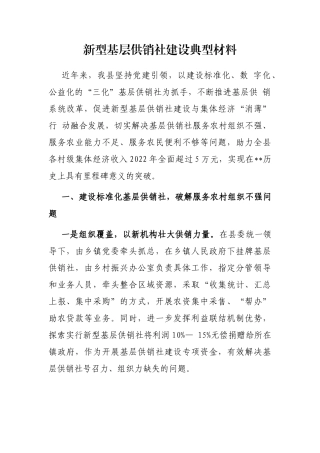 新型基层供销社建设典型材料