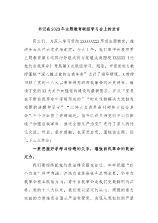 书记在2023年主题教育联组学习会上的发言