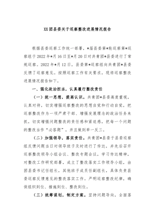 团县委巡察整改进展情况报告