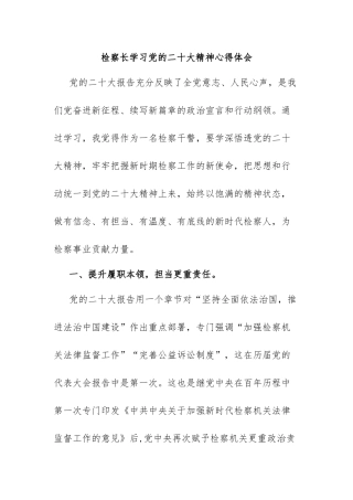 检察长学习党的二十大精神心得体会