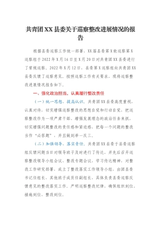 共青团XX县委关于巡察整改进展情况的报告