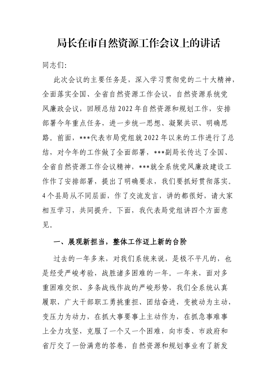 局长在市自然资源工作会议上的讲话_第1页