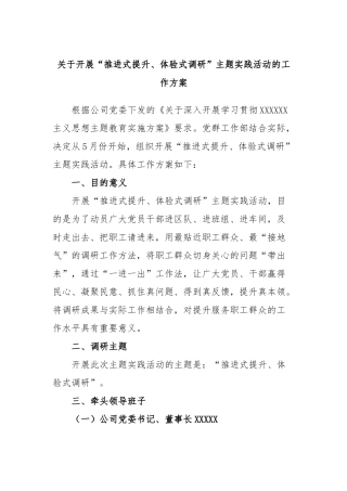 开展“推进式提升、体验式调研”主题实践活动的工作方案