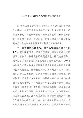 领导在民营经济发展大会上的发言稿