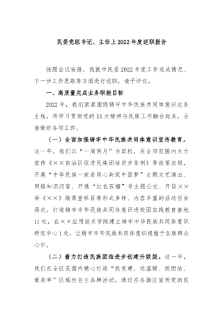 民委党组书记、主任2022年度述职报告