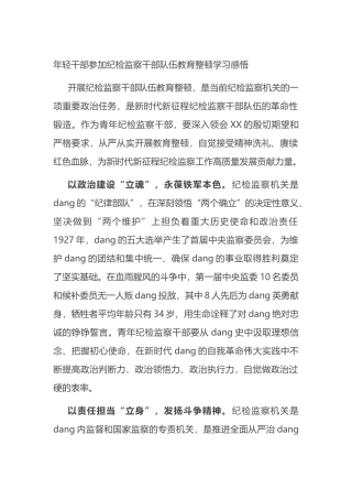 年轻干部参加纪检监察干部队伍教育整顿学习感悟