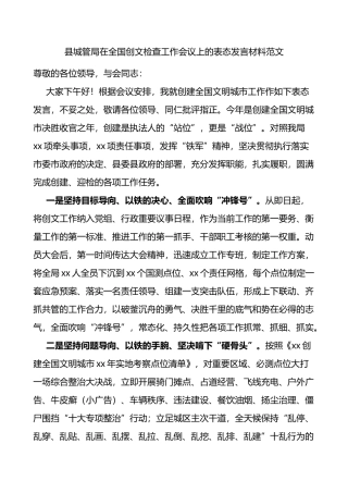县城管局在全国创文检查工作会议上的表态发言材料范文