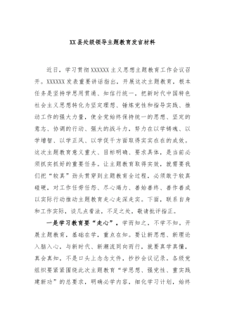 县处级领导主题教育发言材料