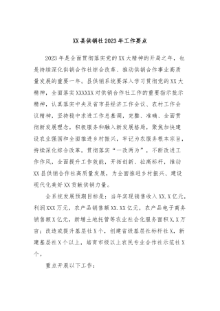 县供销社2023年工作要点