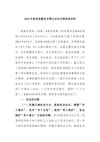 2023年度巡视整改专题生活会对照检查材料