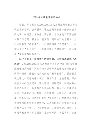 2023年主题教育学习体会