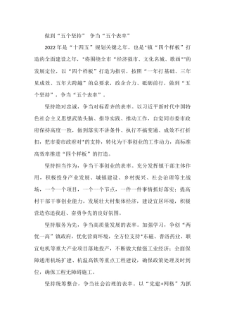 党政一把手在大会上的讲话表态发言汇编