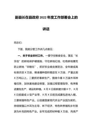 副县长在县政府2022年度工作部署会上的讲话