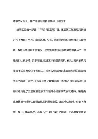 在区委第二巡察组巡察老池镇党委巡察反馈会上的表态发言