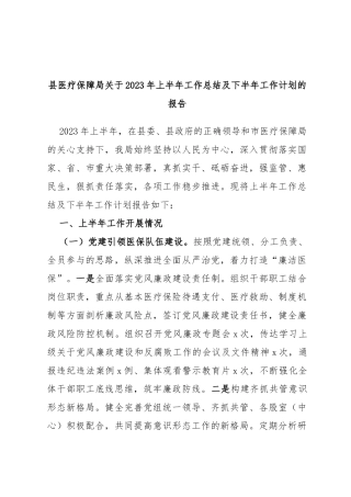 县医疗保障局2023年上半年工作总结及下半年工作计划的报告