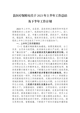 县医疗保障局关于2023年上半年工作总结及下半年工作计划