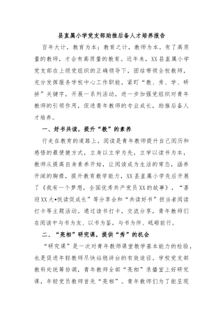 县直属小学党支部助推后备人才培养报告