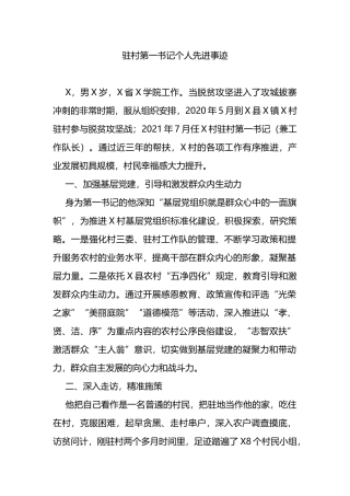 驻村第一书记个人先进事迹材料
