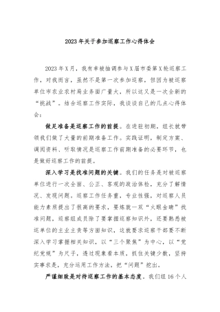 2023年参加巡察工作心得体会