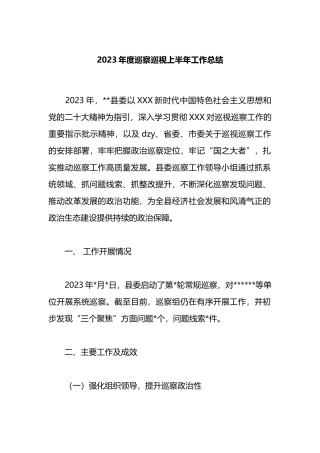 2023年度巡察巡视上半年工作总结