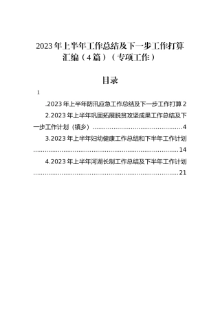 2023年上半年工作总结及下一步工作打算汇编（4篇）（专项工作）