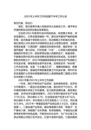 2023年上半年工作总结暨下半年工作计划