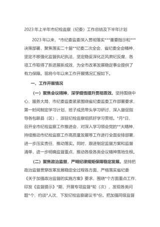 2023年上半年市纪检监察（纪委）工作总结及下半年计划