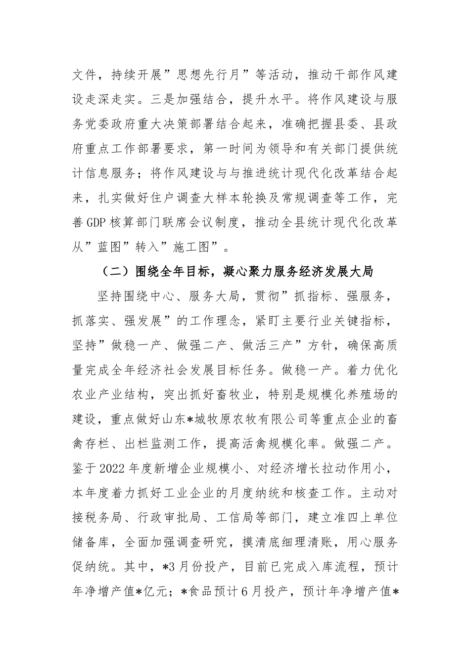 2023年上半年统计局工作总结_第2页