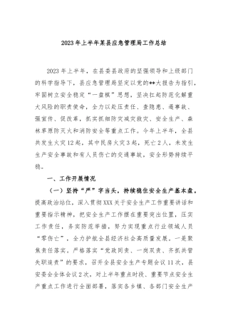 2023年上半年县应急管理局工作总结