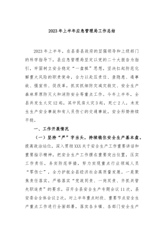 2023年上半年应急管理局工作总结