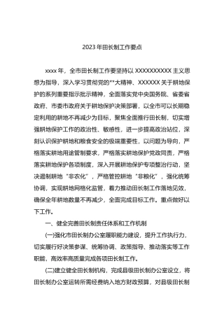 2023年田长制工作要点