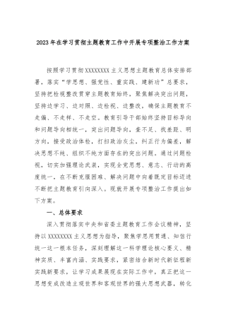 2023年在学习贯彻主题教育工作中开展专项整治工作方案