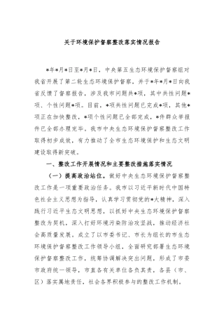 环境保护督察整改落实情况报告