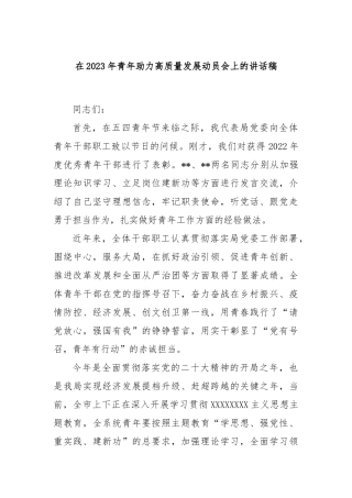 在2023年青年助力高质量发展动员会上的讲话稿