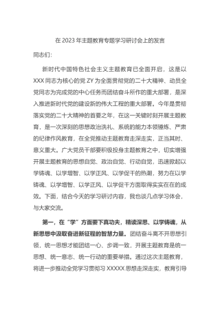 在2023年主题教育专题学习研讨会上的发言