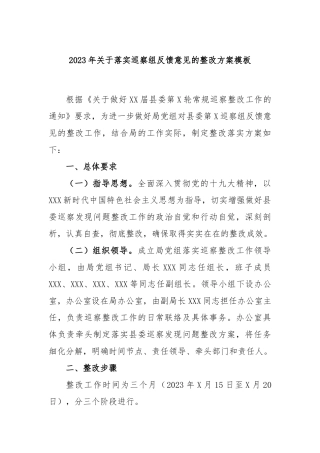 2023年落实巡察组反馈意见的整改方案模板