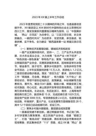 2023年镇上半年工作总结