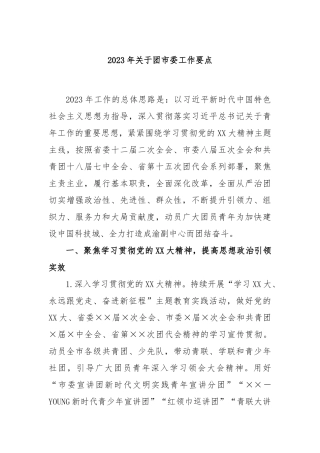 2023年关于团市委工作要点