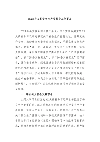 2023年县安全生产委员会工作要点