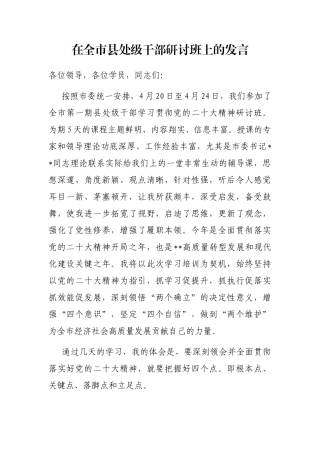 在全市县处级干部研讨班上的发言