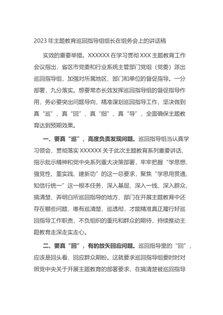 2023年主题教育巡回指导组组长在组务会上的讲话稿