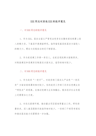 XXX同志对其他XXX的批评意见